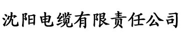 宅云盒apk电缆厂logo